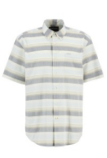 Barbour Chathill Striped Regular S/S Shirt